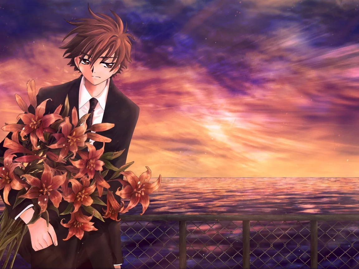 tsubasa reservoir chronicles, аниме