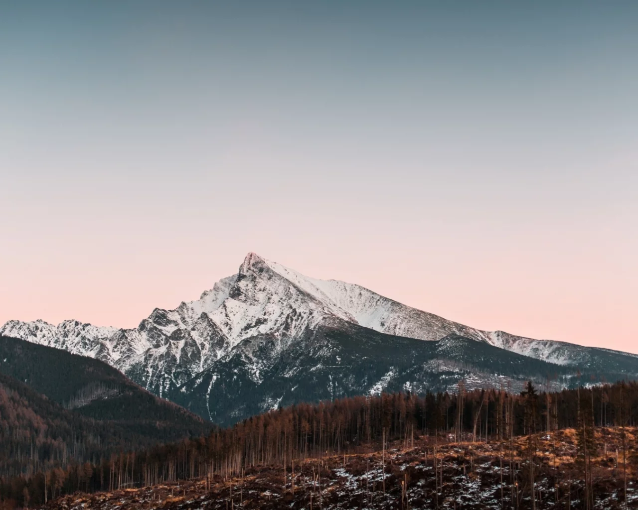 лес, деревья, горы
