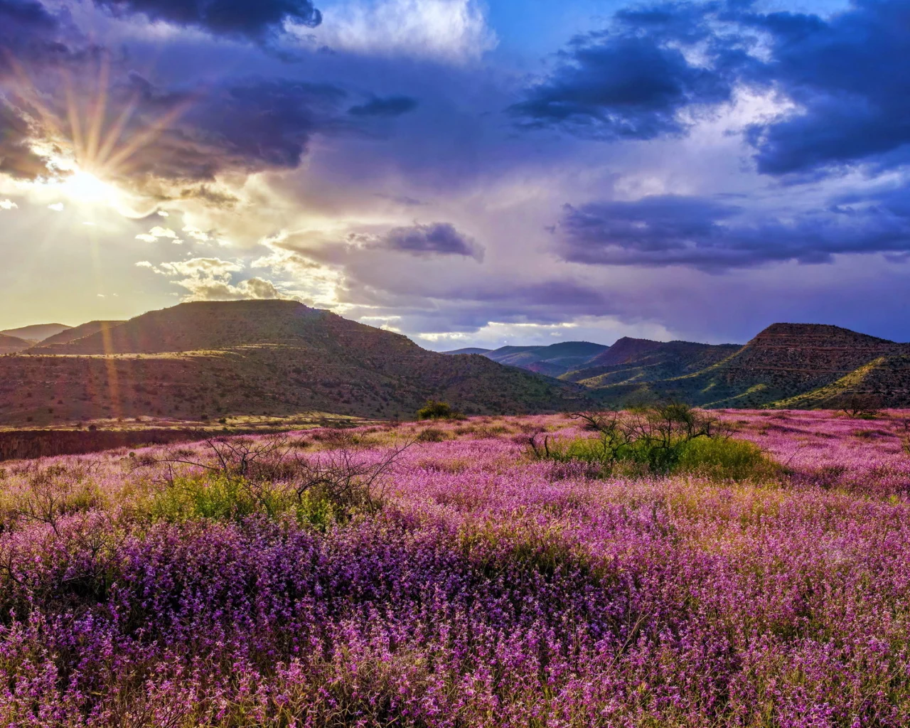 пейзаж, природа, красота