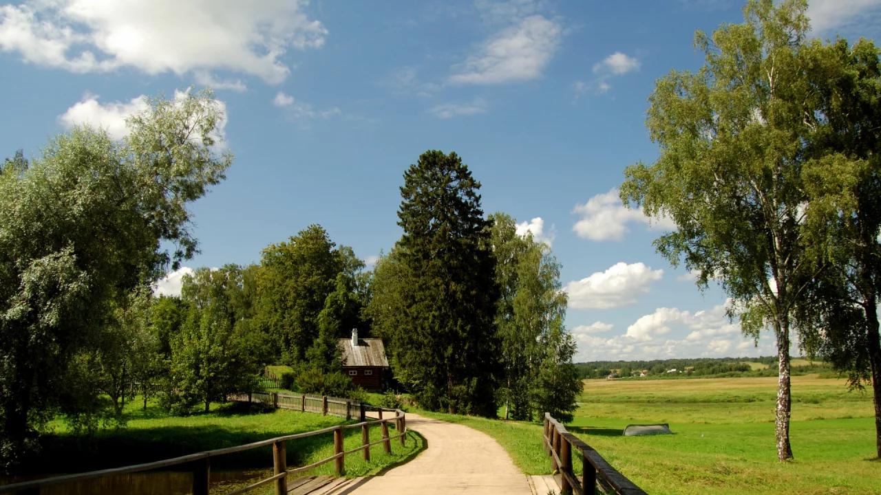 дорога, поле зелёное, лето
