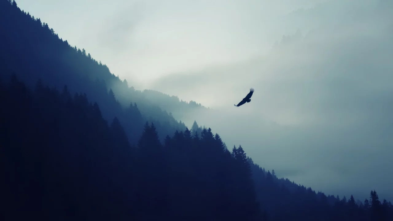 горы, лес, туман