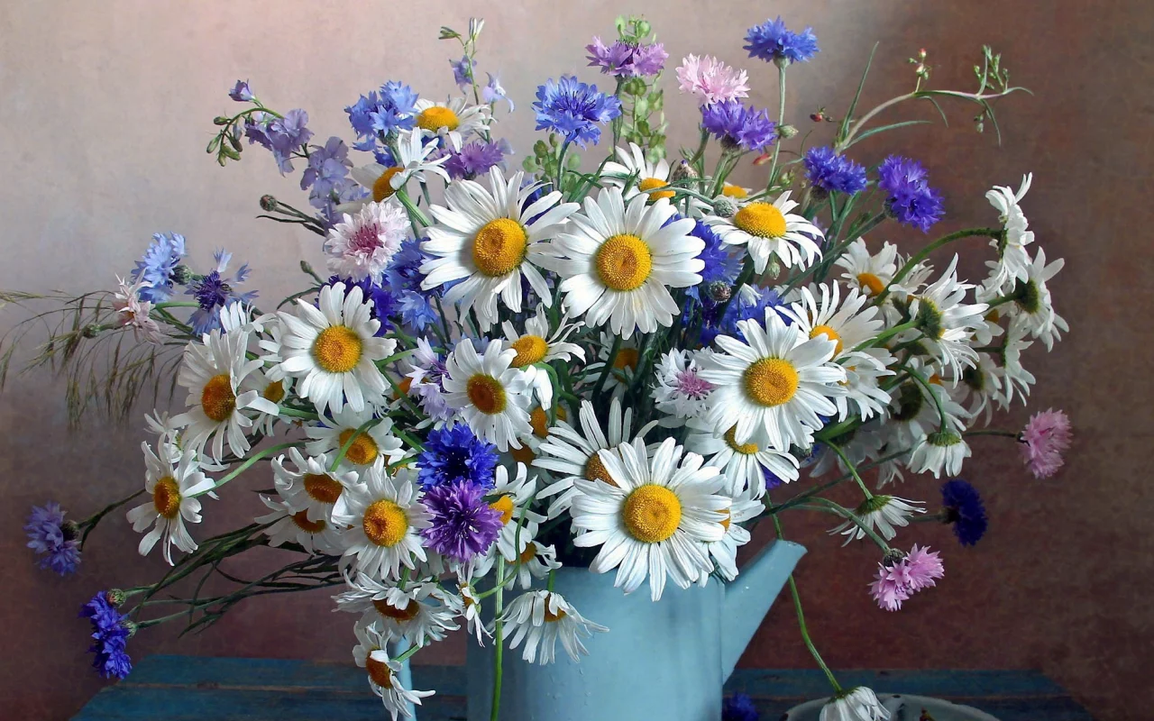 ромашки, цветы, букет