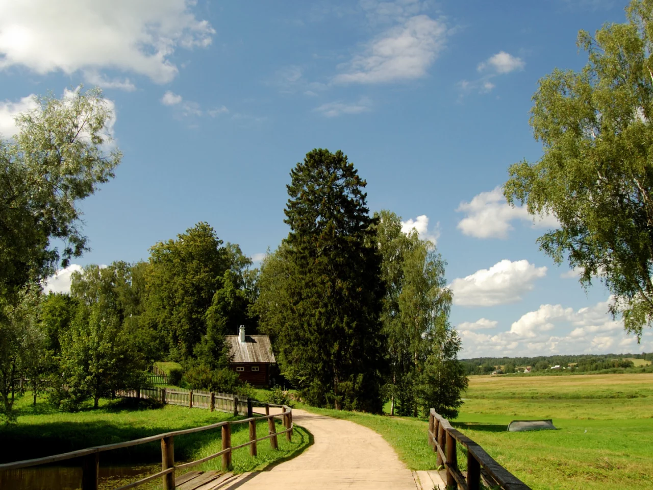 дорога, поле зелёное, лето