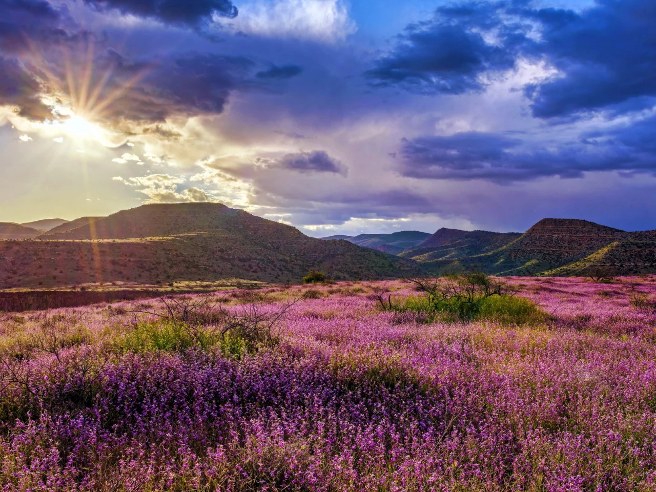 пейзаж, природа, красота