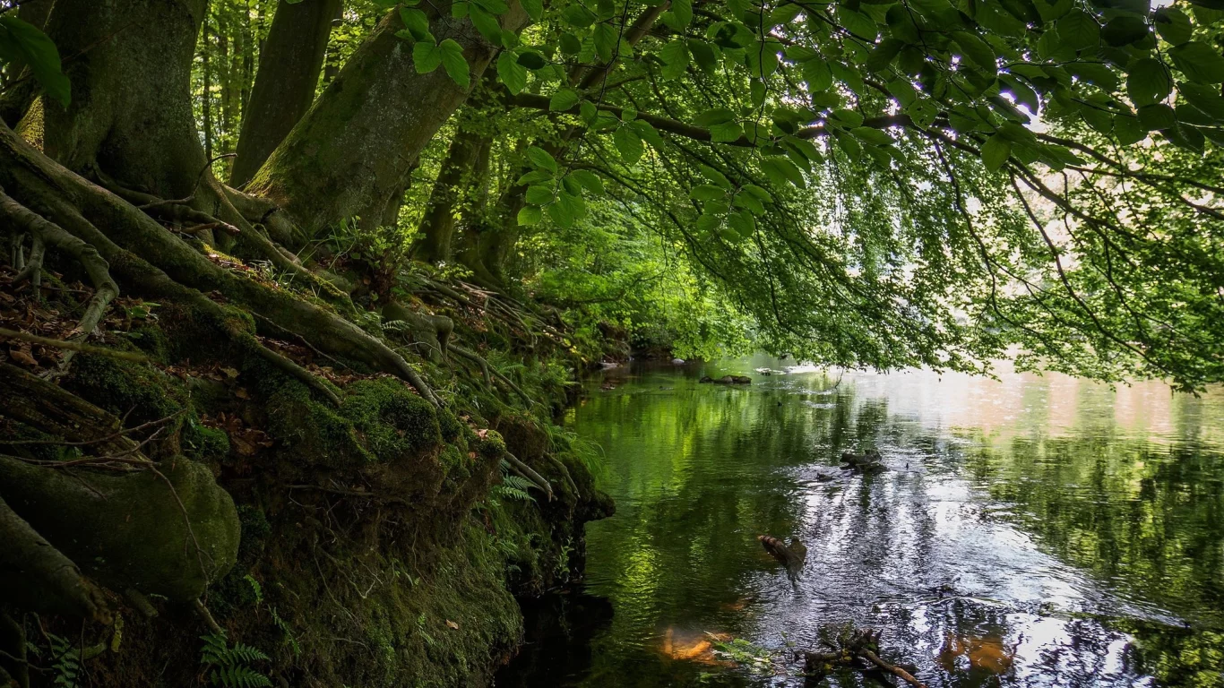пейзаж, природа, красота
