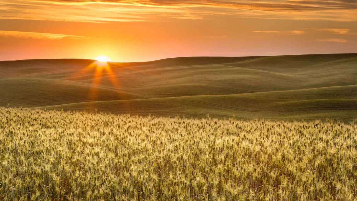 пейзаж, природа, красота