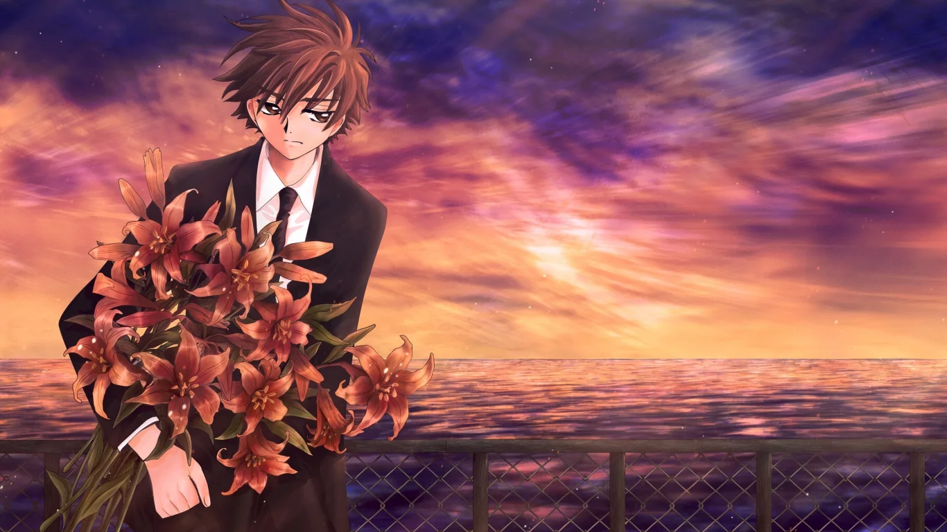 tsubasa reservoir chronicles, аниме