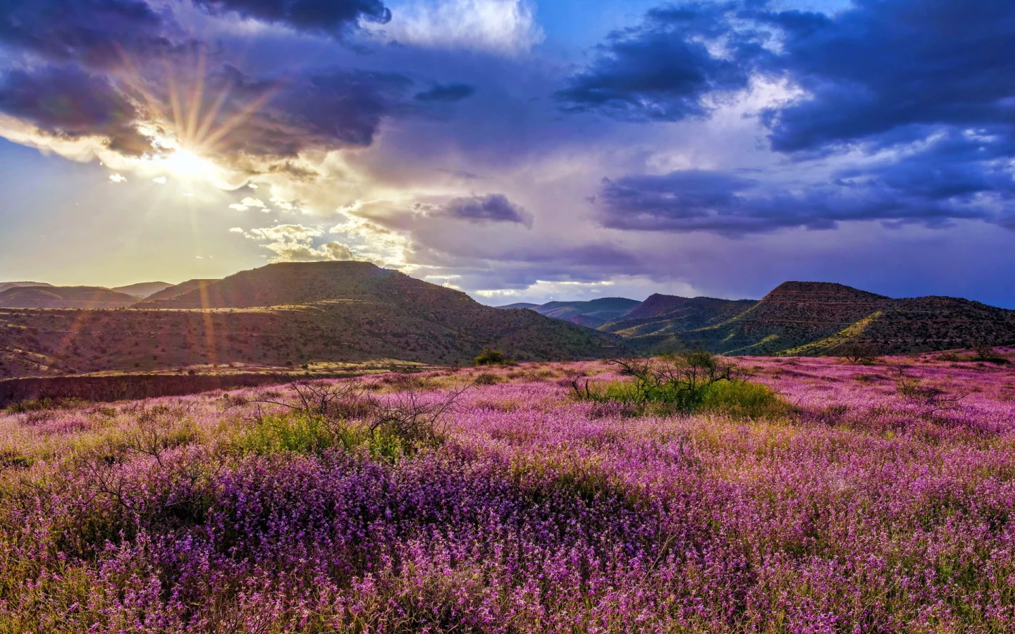 пейзаж, природа, красота