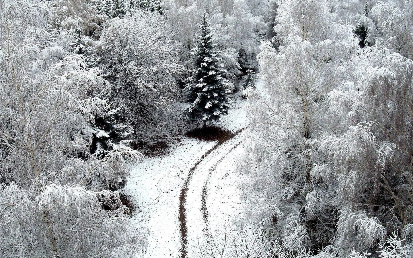 зима, снег, лес, дорога