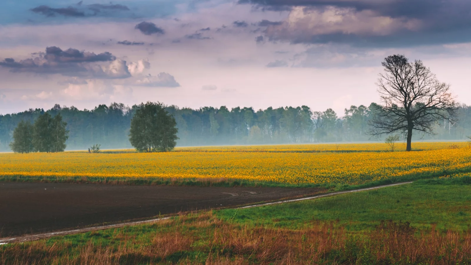 пейзаж, природа, красота