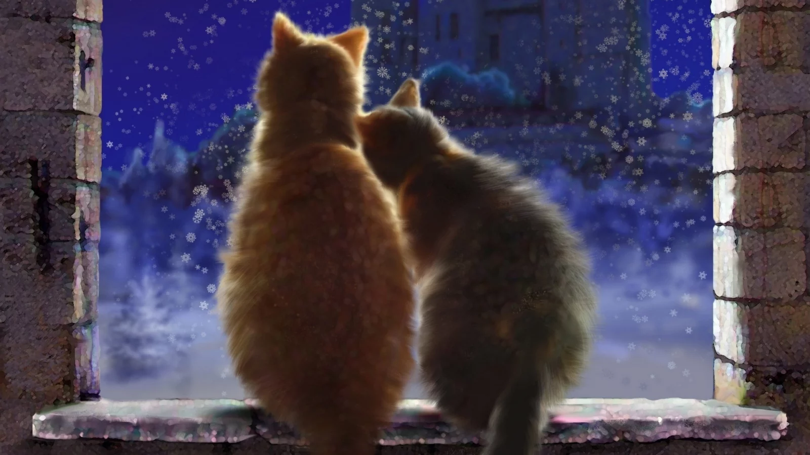 коты, животные, сидят на подоконнике