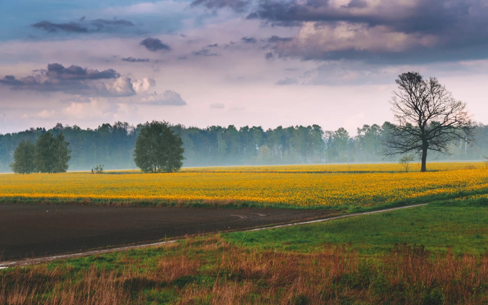 пейзаж, природа, красота