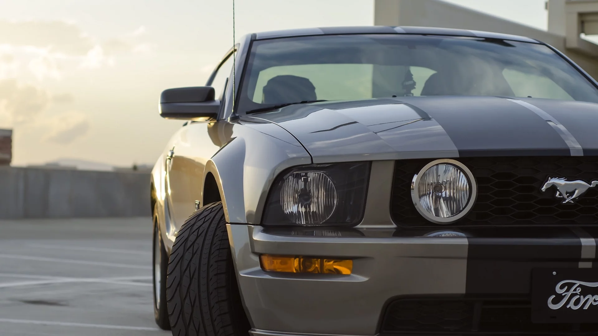 auto, ford mustang