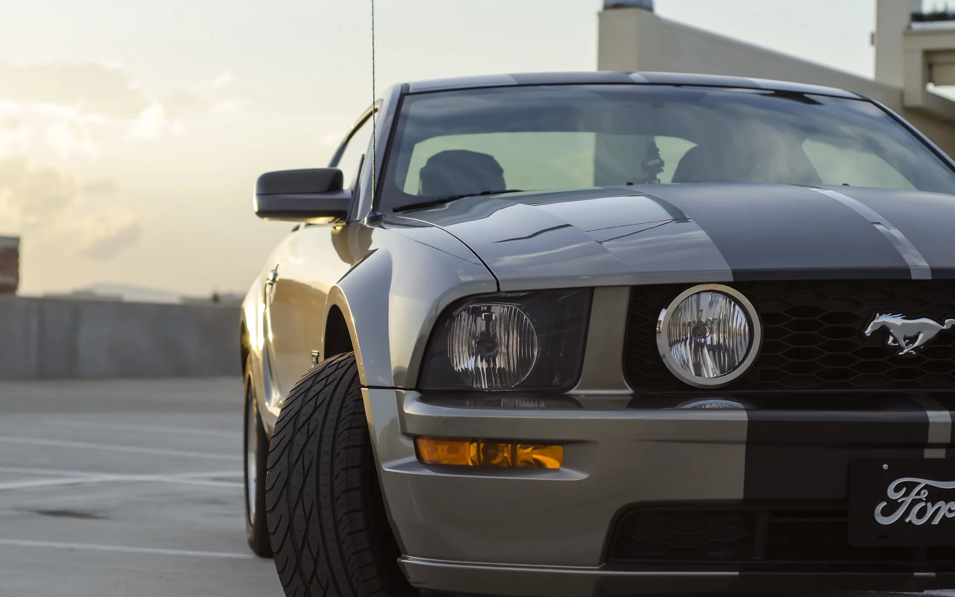auto, ford mustang