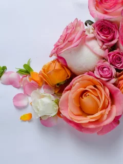 розы, букет, цветы