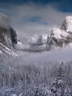 пейзаж, природа, красота