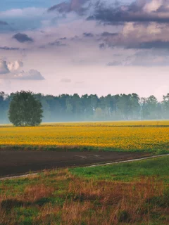 пейзаж, природа, красота