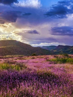пейзаж, природа, красота