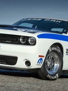 auto, dodge challenger
