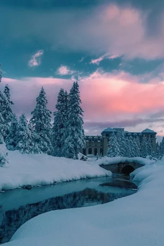зима, снег, деревья, река