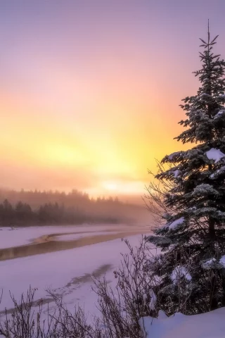 закат, снег, зима