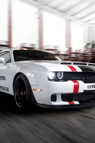 auto, ford mustang, shelby