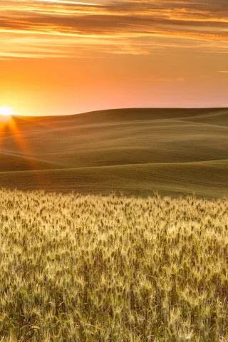 пейзаж, природа, красота