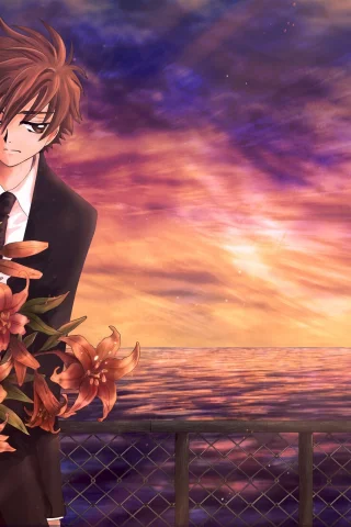 tsubasa reservoir chronicles, аниме