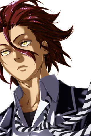 в поисках божественного рецепта, shokugeki no soma