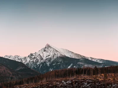лес, деревья, горы