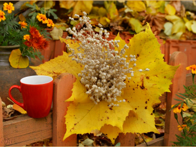 чашка, осень, листья