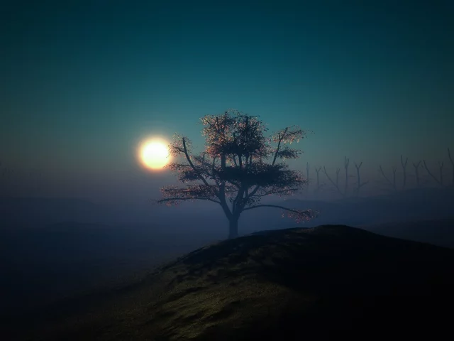 поле, дерево, закат