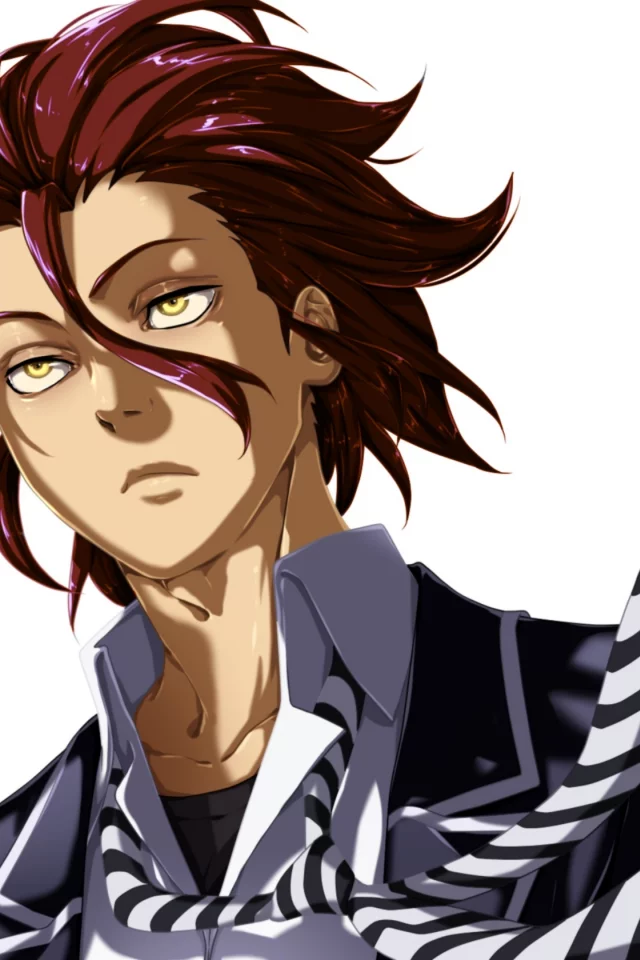 в поисках божественного рецепта, shokugeki no soma