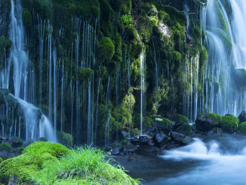 природа, лес, водопад