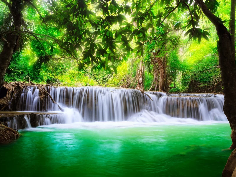 природа, лес, водопад