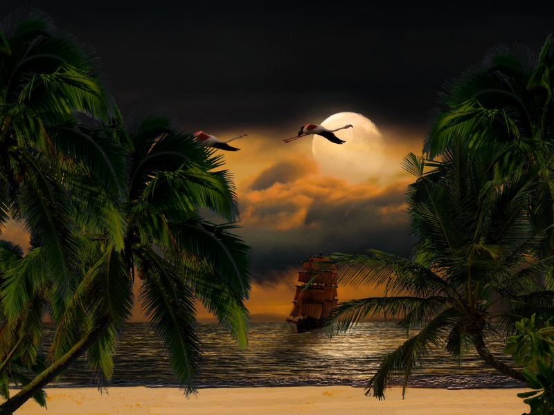 ночь, луна, море, корабль, фламинго, пальма