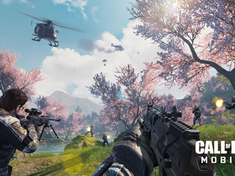 game, call of duty