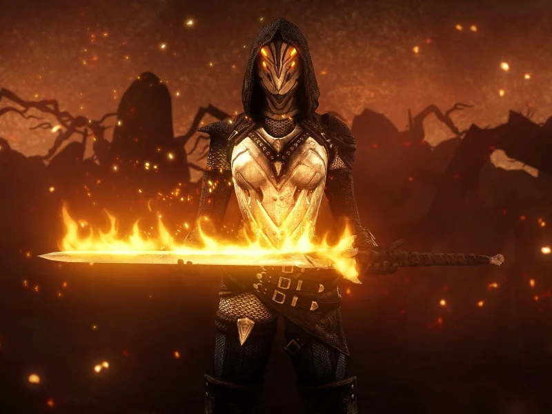 dark souls 2, воин