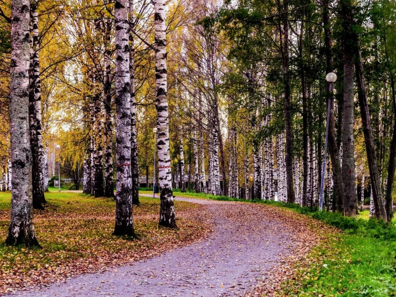 пейзаж, природа, красота