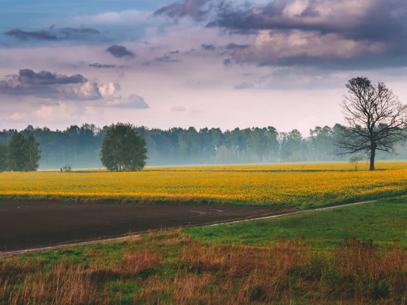 пейзаж, природа, красота