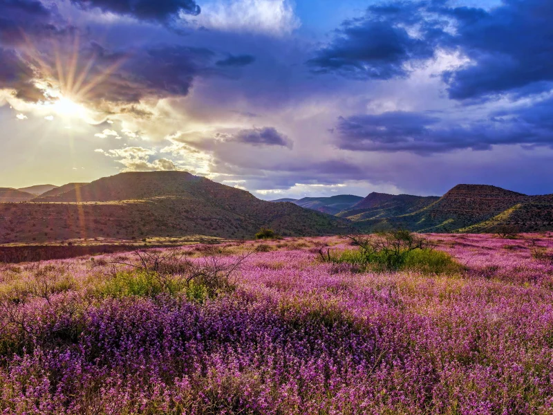 пейзаж, природа, красота