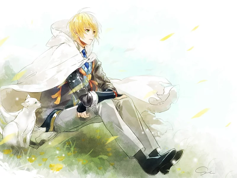 танец мечей, touken ranbu