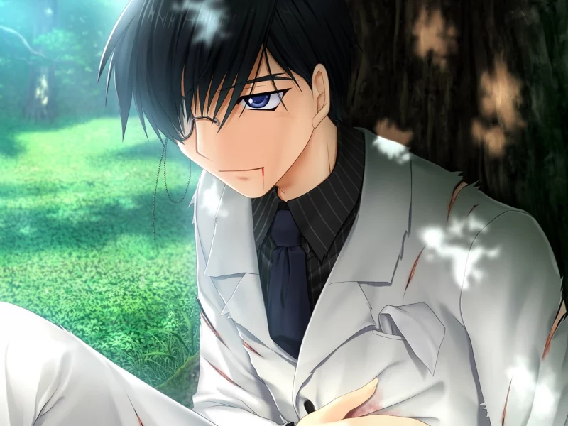 rewrite, аниме