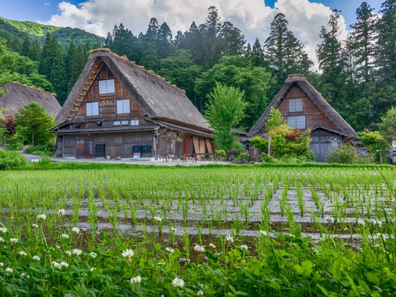 пейзаж, природа, красота
