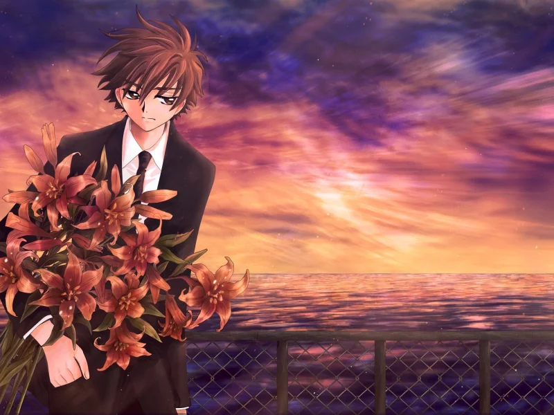 tsubasa reservoir chronicles, аниме