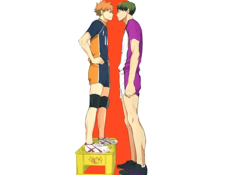 волейбол, haikyuu