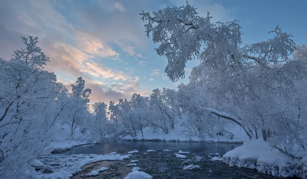 пейзаж, природа, красота