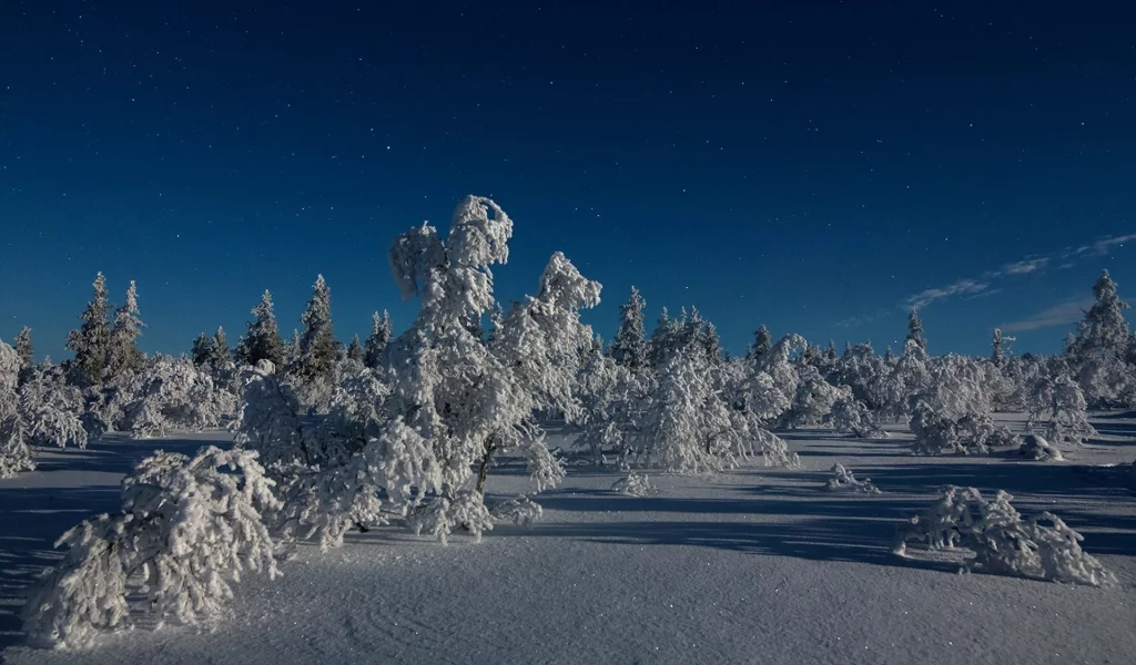 пейзаж, природа, красота