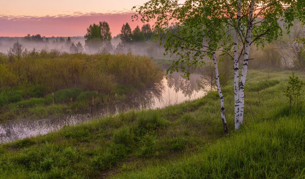 речушка, изгиб, луга, деревья