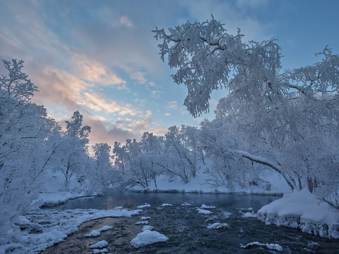 пейзаж, природа, красота